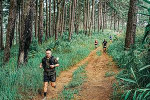 BIB: 
                            <button type="button" onclick="openModal(25712680)" class="btn btn-primary btn-sm float-right btn-popup" data-toggle="modal" data-target=".modal-high-quality">
                        <i class="fas fa-shopping-cart"></i> Add to Cart
                    </button>
                                            <button type="button" onclick="isThisMe(25712680, true)" class="btn btn-success btn-sm float-right btn-popup btn-isme hidden" data-toggle="tooltip" data-placement="bottom" title="นี่คือรูปของคุณใช่ไหม คลิกที่นี่เพื่อเอาเข้าอัลบั้ม">
                        <i class="fas fa-plus"></i> Add to album
                    </button>
                    <button type="button" onclick="isThisMe(25712680, false)" class="btn btn-warning btn-sm float-right btn-popup btn-isnotme hidden">
                        <i class="fas fa-ban"></i> Remove from album
                    </button>